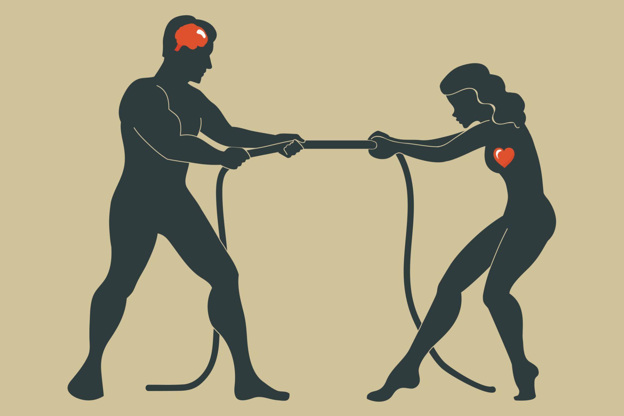 红尘破局之道认知升级体系封面